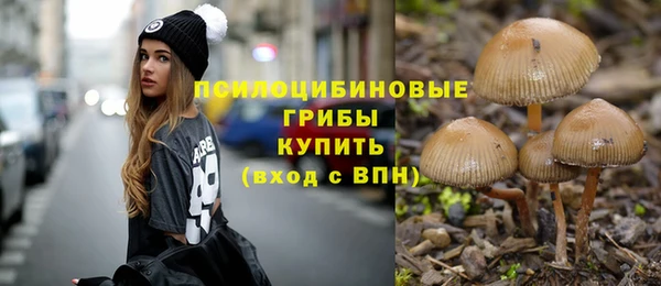 2c-b Балабаново