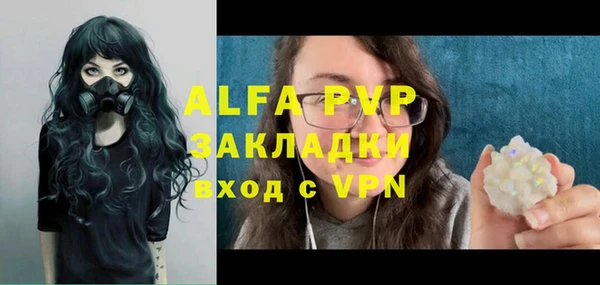 шишки Беломорск