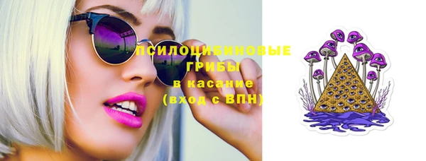 стаф Балахна
