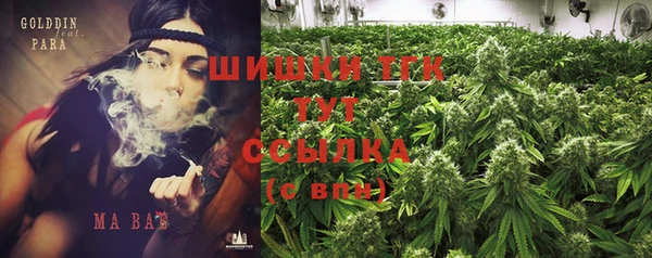 стаф Балахна