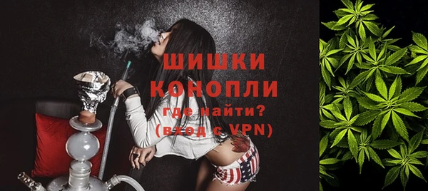 стаф Балахна